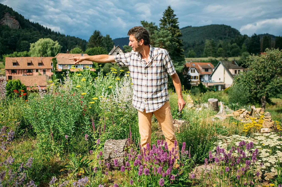 Visite guidée du jardin écologique Hymenoptera