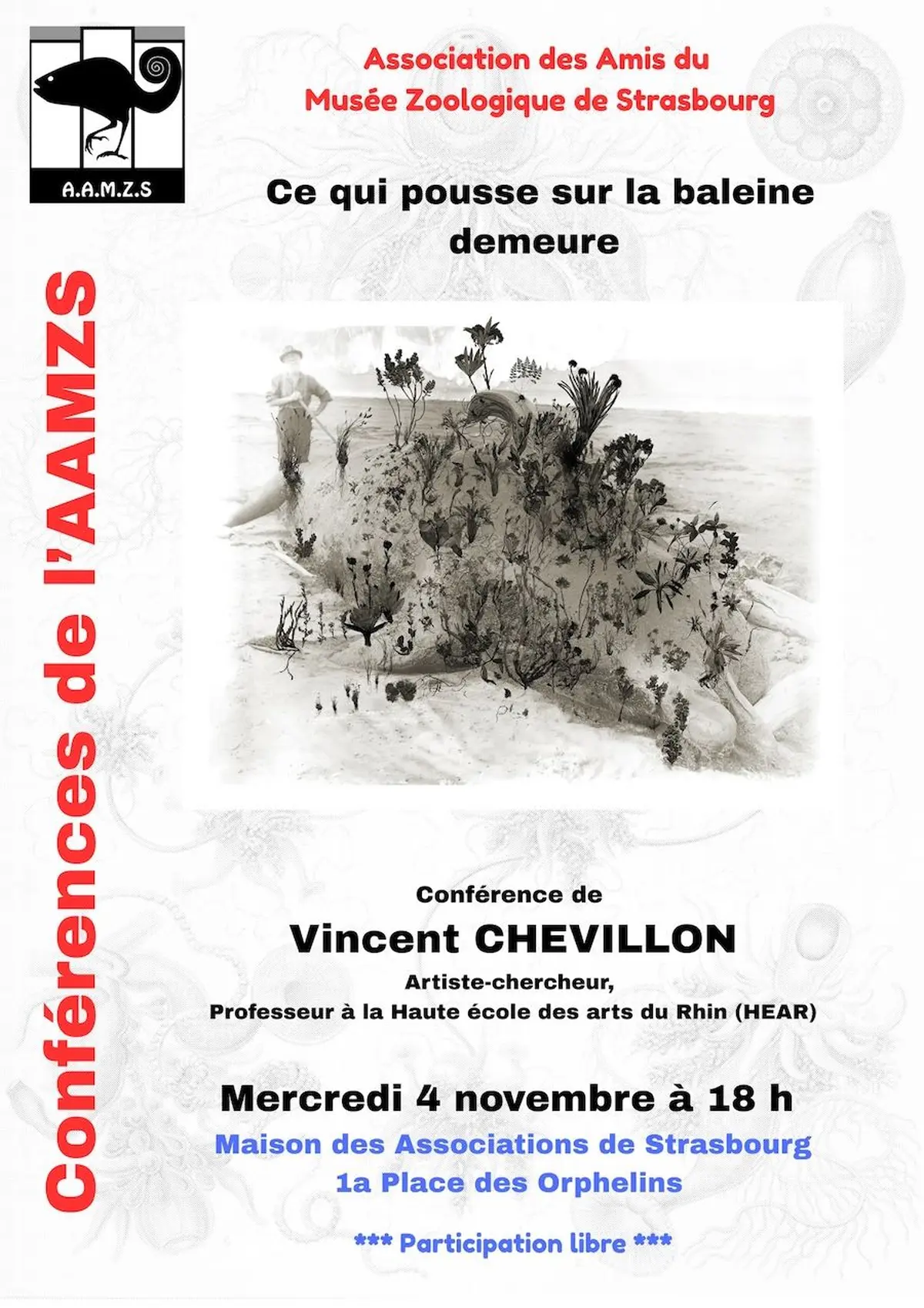 Conférence de lAAMZS - Association des Amis du Musée Zoologique de Strasbourg