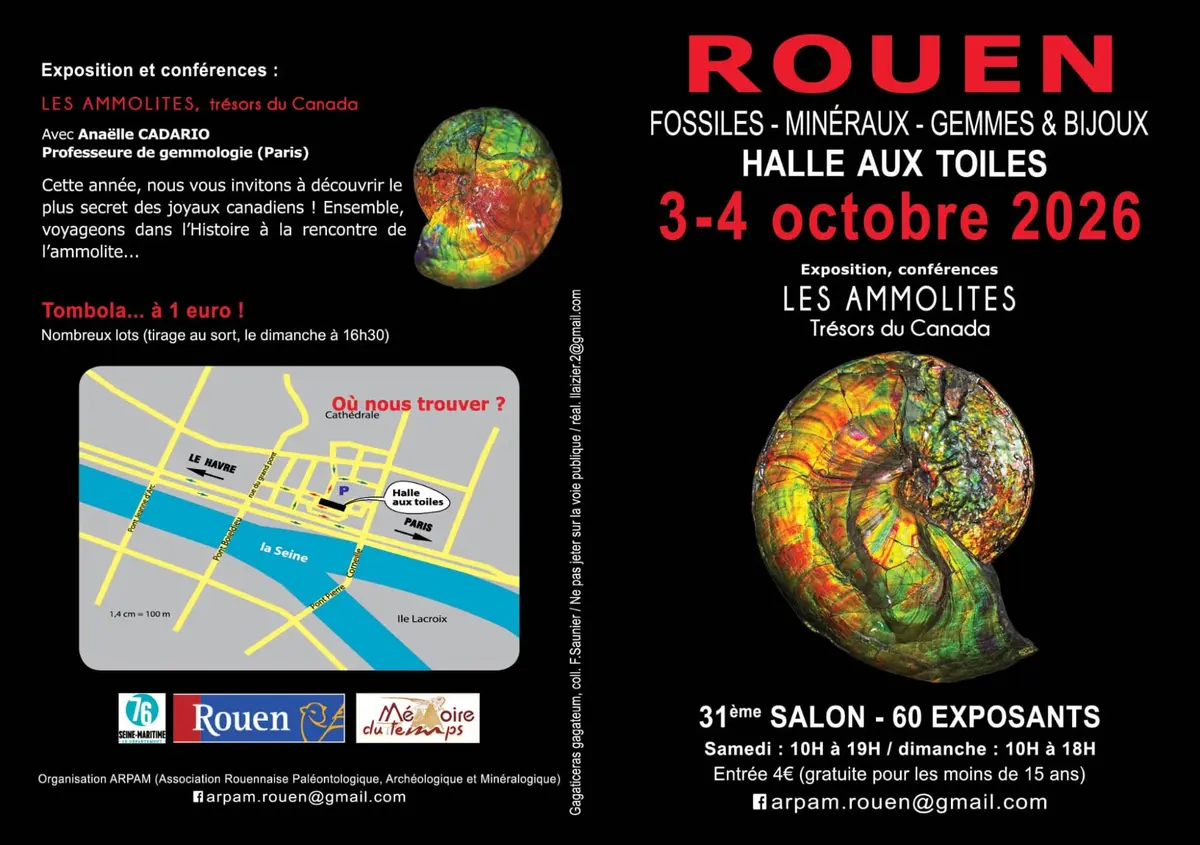 31éme Salon International de Rouen Fossiles, Minéraux & préhistoire