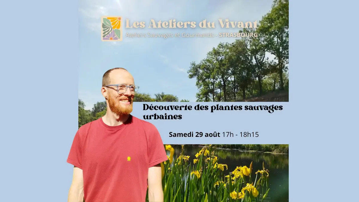 Découverte des plantes sauvages urbaines à La Grenze avec Les Ateliers du Vivant