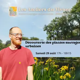 Découverte des plantes sauvages urbaines à La Grenze avec Les Ateliers du Vivant