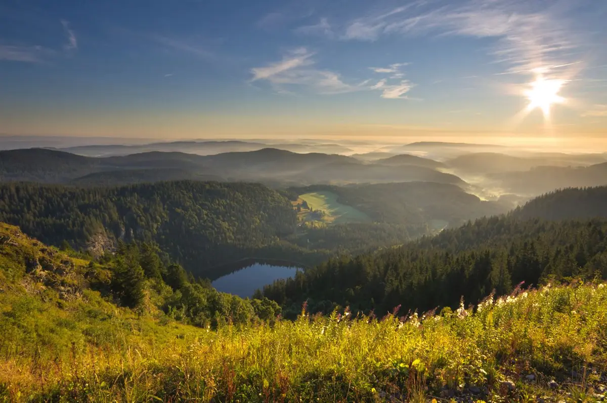 Eau, forêt, panoramas : des lieux de rêve en Forêt-Noire