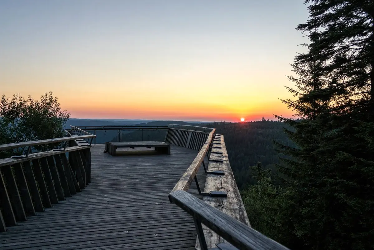 Eau, forêt, panoramas : des lieux de rêve en Forêt-Noire
