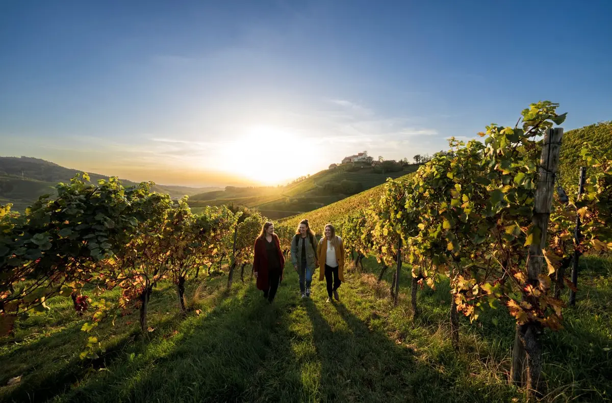 Eau, forêt, panoramas : des lieux de rêve en Forêt-Noire