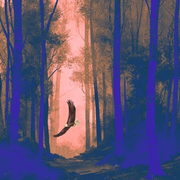 Ec(h)o - imaginarium & musique