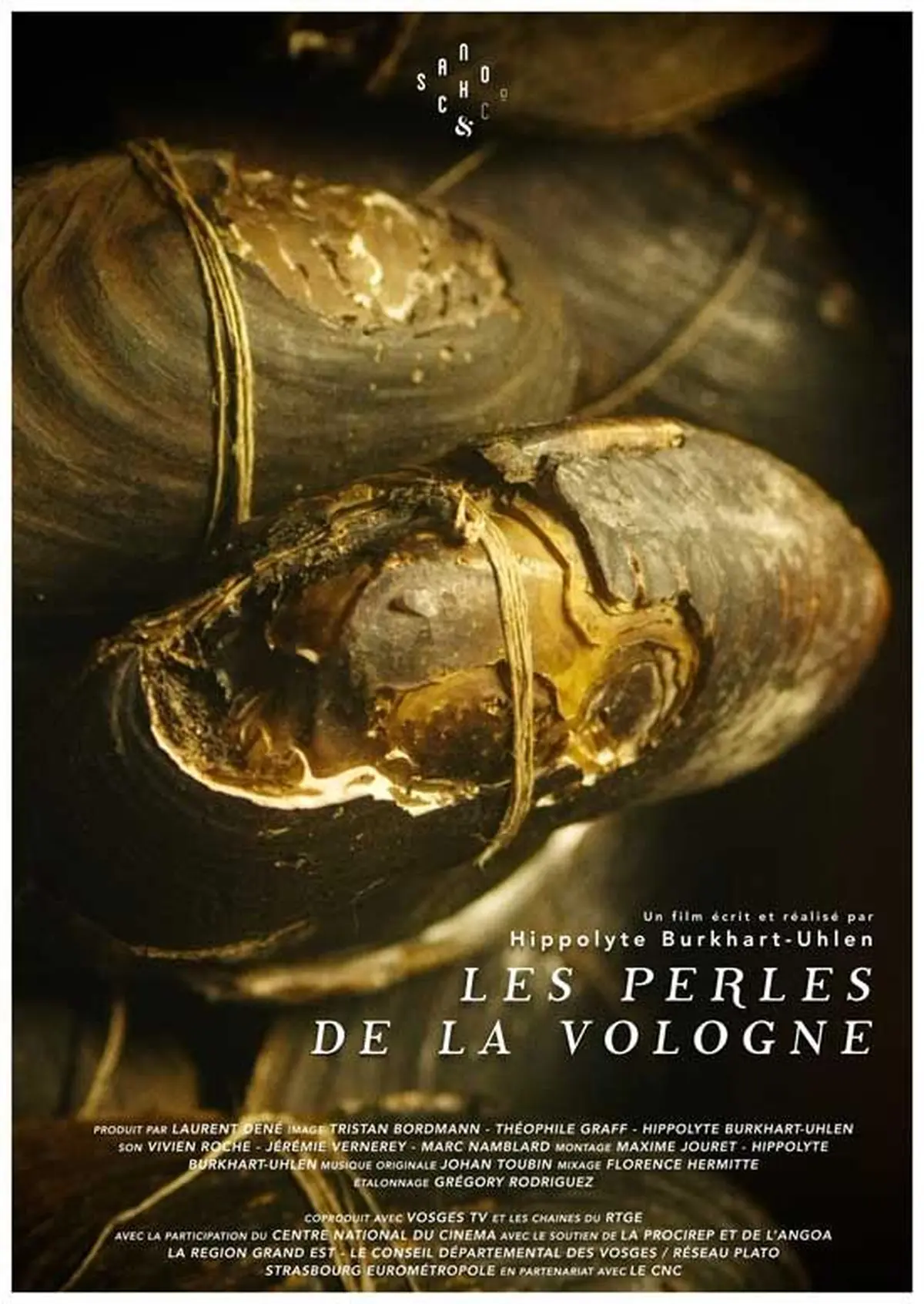 Les perles de la Vologne - Festival du Film Engagé Thur et Doller