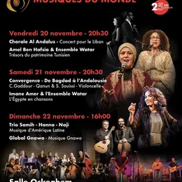 Festival des Cordes Pincées 