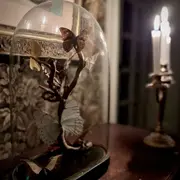 Echappée immersive : le château de Carneville pendant l'occupation