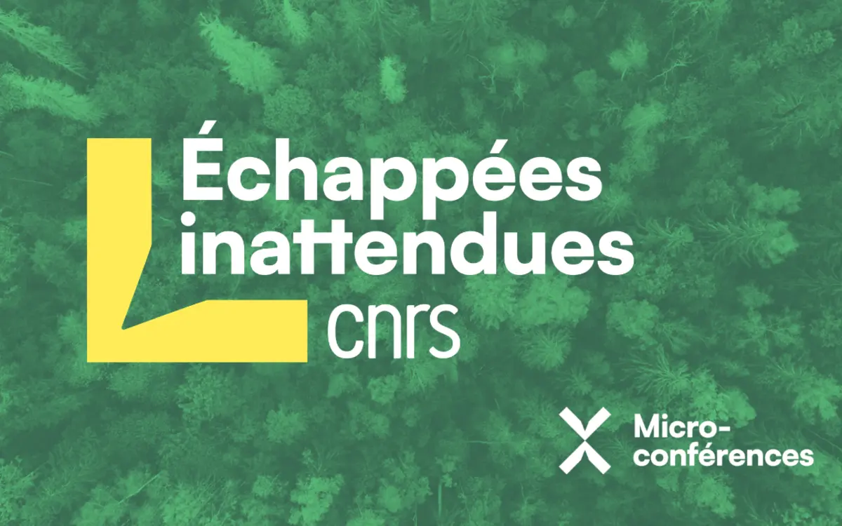 Echappées inattendues : la bioinspiration