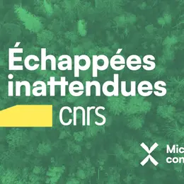 Echappées inattendues : la bioinspiration