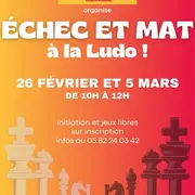 Echec et mat à la Ludo