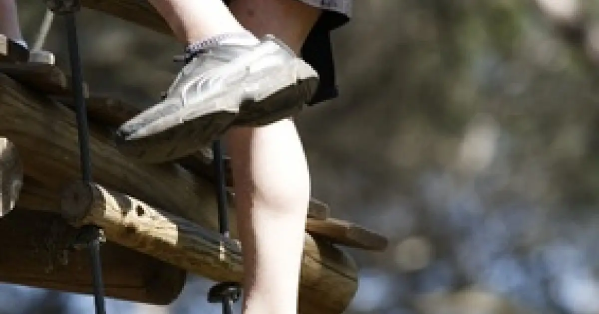 Monter le long des arbres, une activité physique, impressionnante... mais tellement amusante !