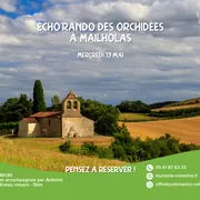 écho'Rando Orchidées