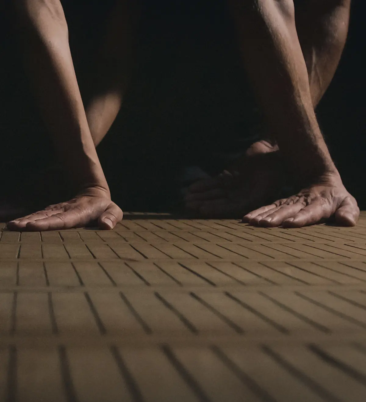 Echo vidéo - Danses de mains de Julie Charrier