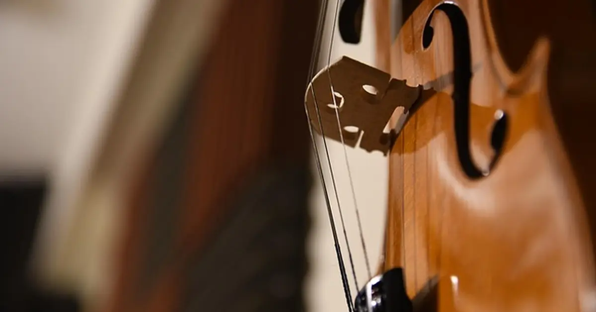 Éclats baroques et classiques - Quatuor à cordes et flûte