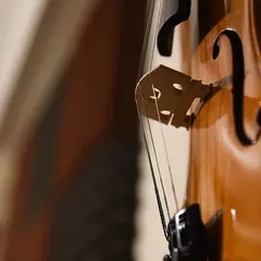 Éclats baroques et classiques - Quatuor à cordes et flûte