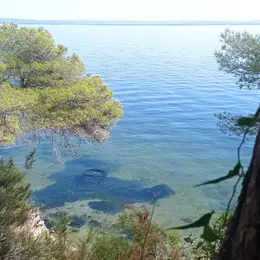 Eco balade autour de l'étang de Berre