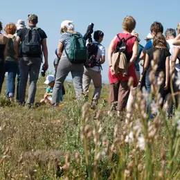 Éco-balade : découverte de la faune et de la flore en Crau