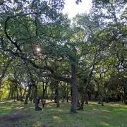 Éco-balade : Haies et bois à Entressen