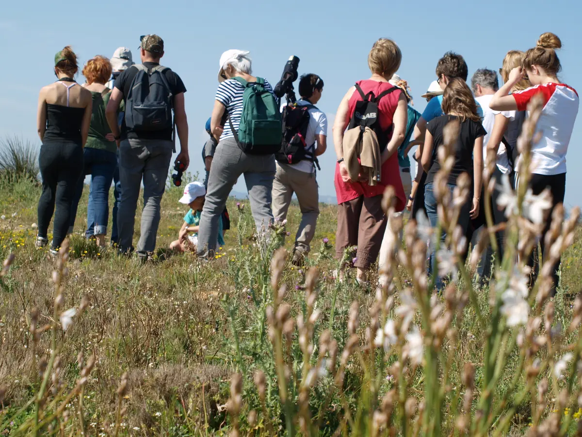 Éco-balade naturaliste dans la plaine de la Crau, site du Mas de Chauvet