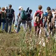 Éco-balade naturaliste dans la plaine de la Crau, site du Mas de Chauvet