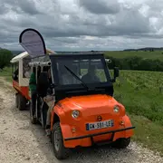 [Eco-circuit ]: promenade en golfette dans le vignoble avec dégustation