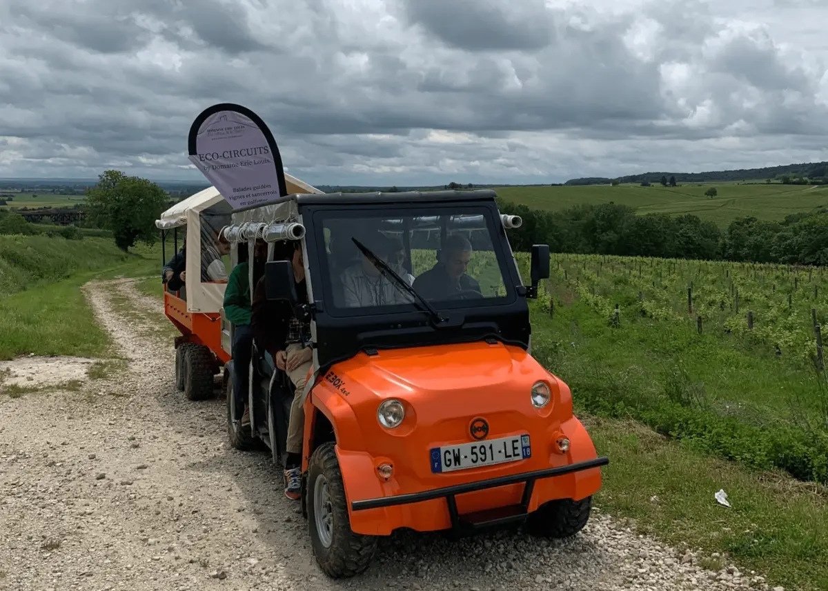 [Éco-circuit ]: promenade en golfette et dégustation dans les vignes