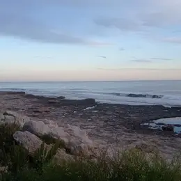 Éco-rando et ramassage de déchets : agissez pour notre littoral