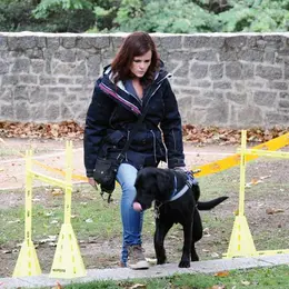 Ecole de chiens guides de Cernay