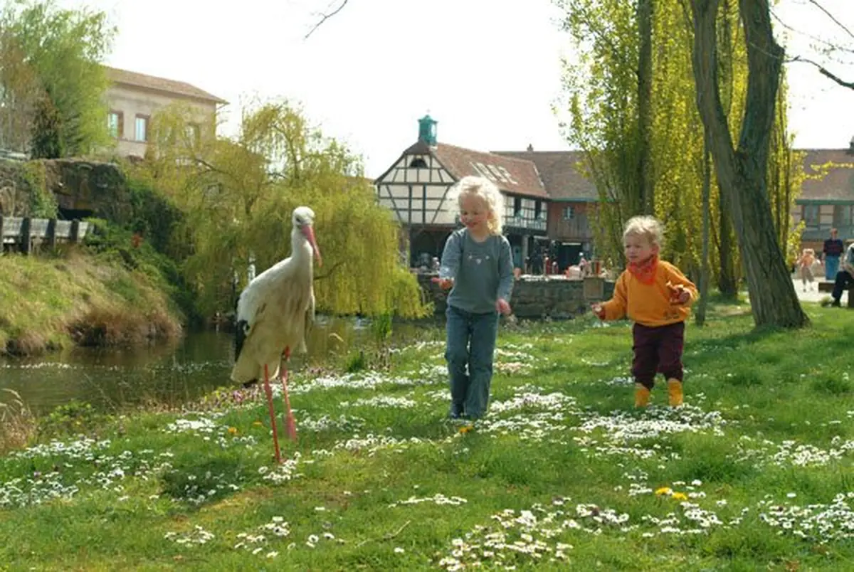L'Alsace authentique pour toute la famille