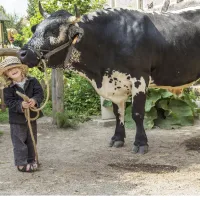 Des rencontres inattendues à l'Ecomusée ! &copy; Focale de Soultz
