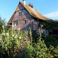 Un bâtiment traditionnel à colombage &copy; Ecomusée d'Alsace