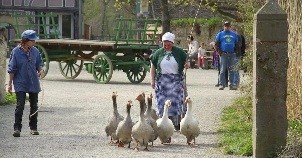 Faire un saut dans le temps à l'Écomusée d'Alsace !