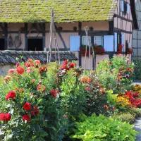 La place des Charpentiers toute fleurie au printemps &copy; Ecomusée d'Alsace