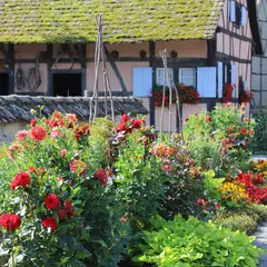 Ecomusée d'Alsace