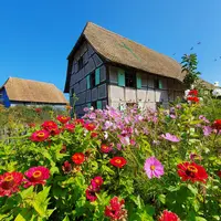 Écomusée d'Alsace : toute l'Alsace en un musée DR