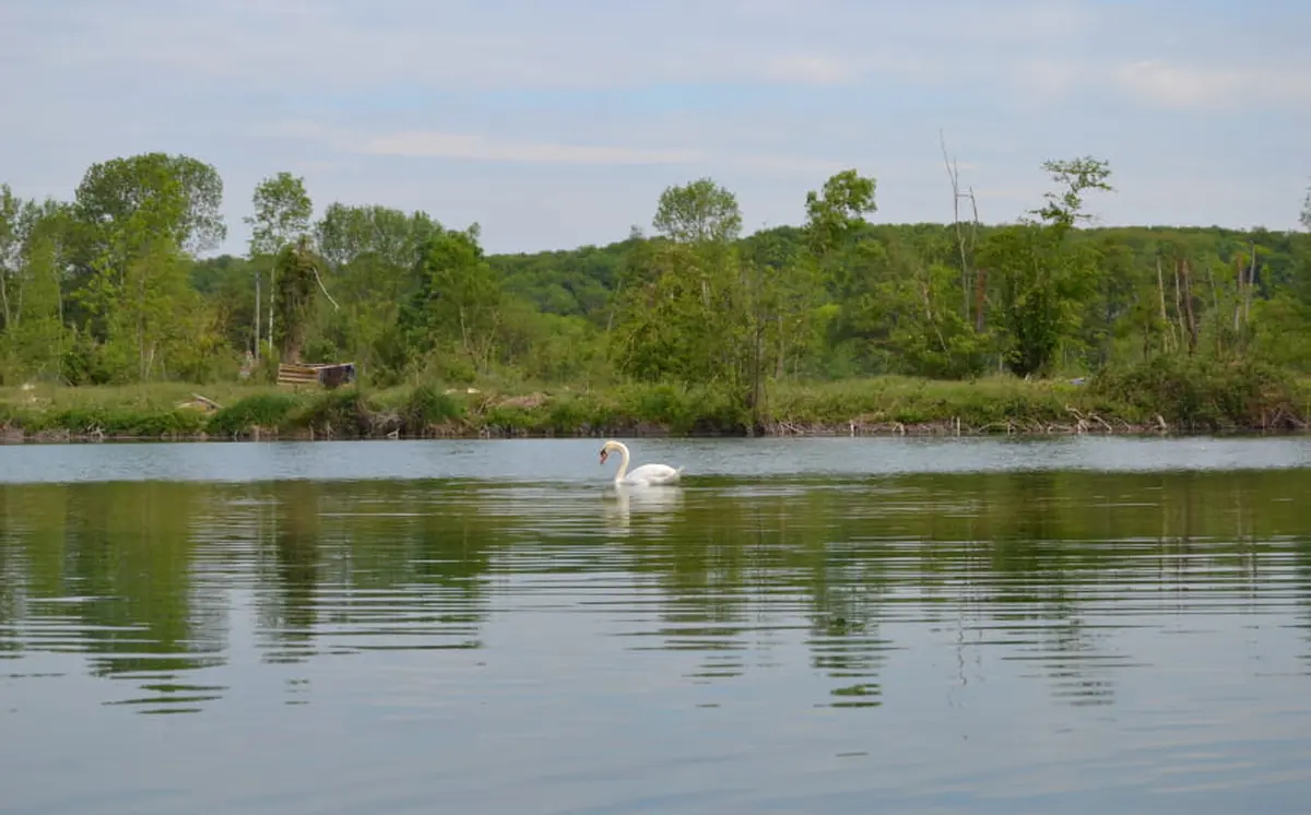 Ecorando à Vert-en-Drouais