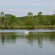 Ecorando à Vert-en-Drouais