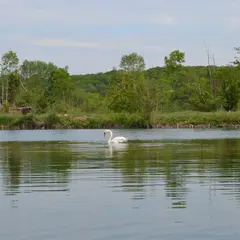 Ecorando à Vert-en-Drouais