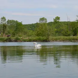 Ecorando à Vert-en-Drouais