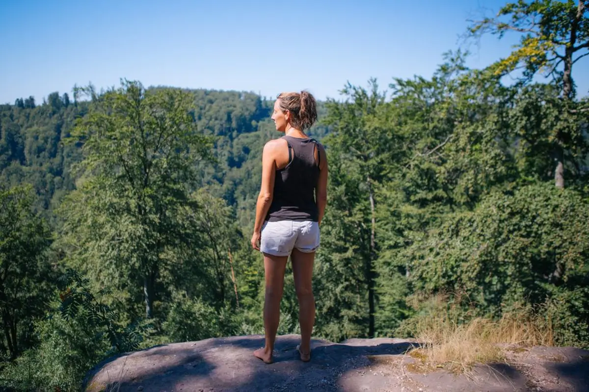 Au coeur de la forêt, dans la région Grand Est