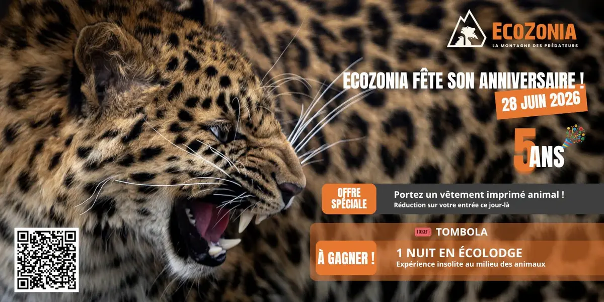 Ecozonia Fête Son Anniversaire!