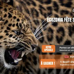 Ecozonia Fête Son Anniversaire!