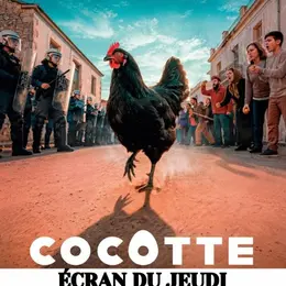 Ecran du Jeudi : Cocotte 