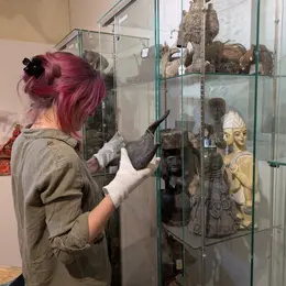 Visite guidée de l'exposition temporaire et de nos réserves