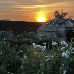 Visite guidée au crépuscule