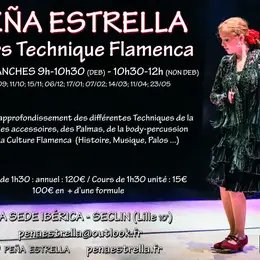 Cours de danse Flamenco Technique Ibérica Seclin Hauts de France