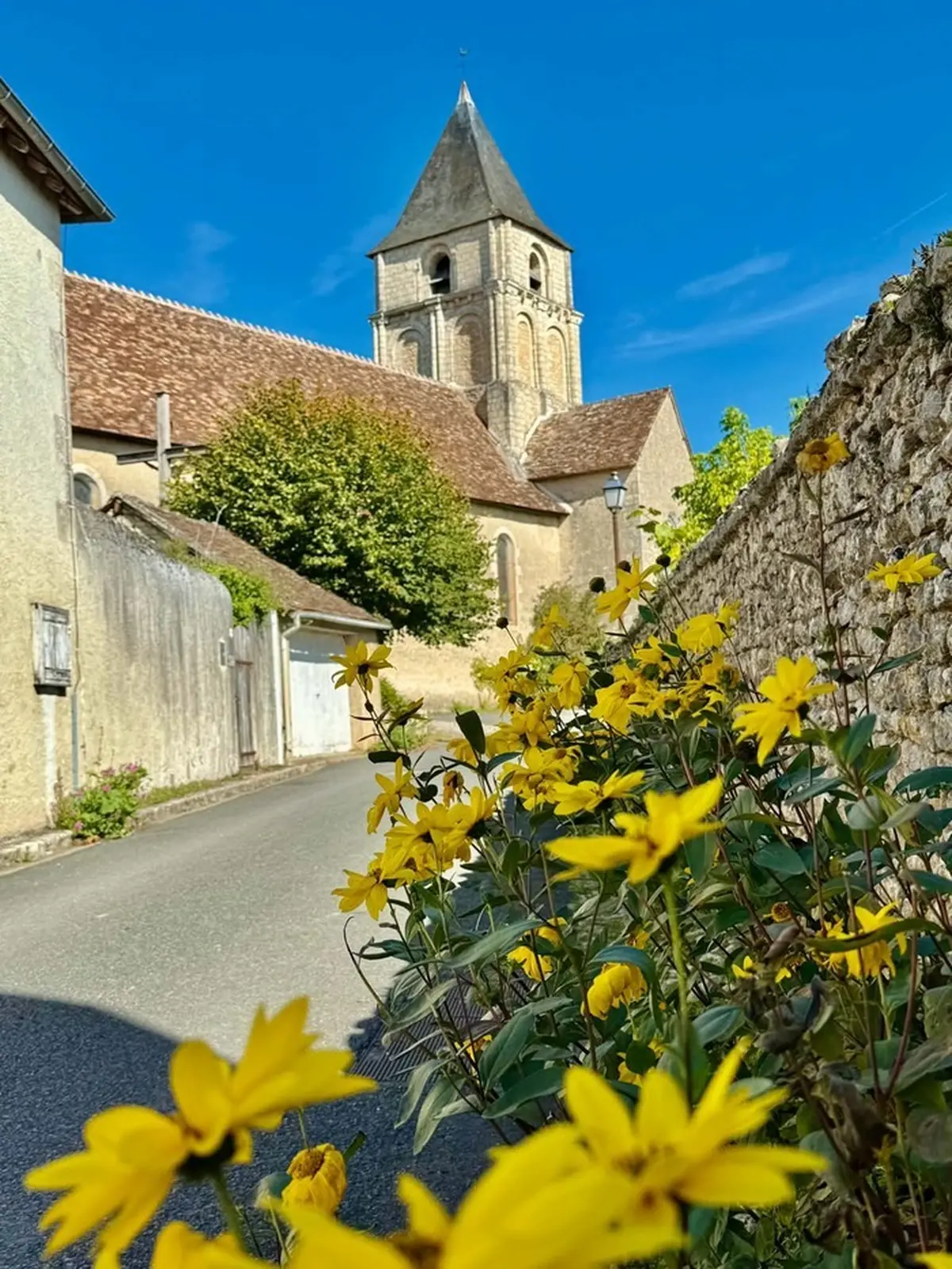 Église Accueillante à Angles-sur-l'Anglin