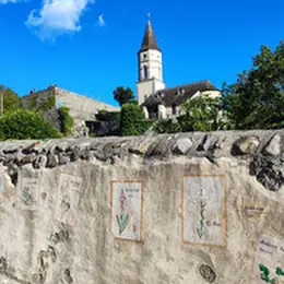 Église Saint-Polycarpe - Journées européennes du patrimoine 2026