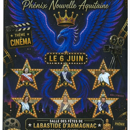 Élection Miss & Mister Phénix Nouvelle Aquitaine